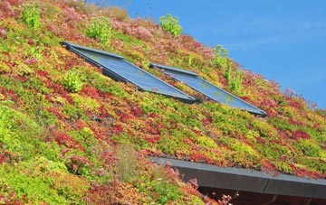 Exlade Street living roof systems